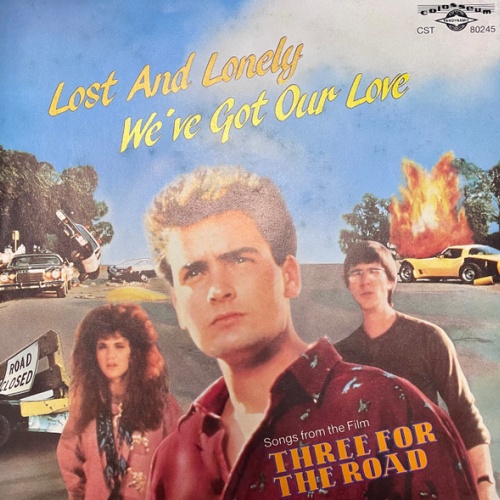 Vinyl / Sherwood Ball / Holly Robinson - Lost And Lonely / We've Got Our Love