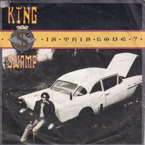 Vinyl / King Swamp - Is This Love?
