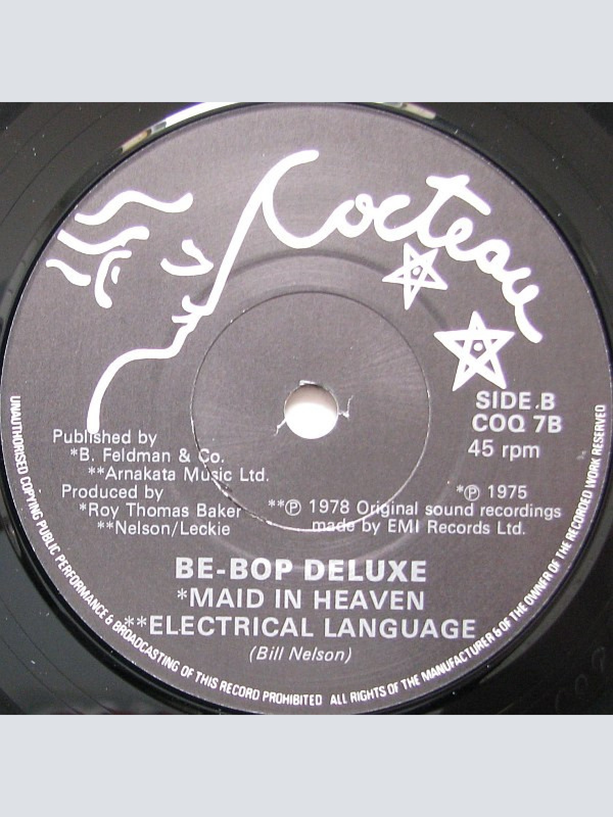 Vinyl / Bill Nelson - Permanent Flame (The Beginners Guide To Bill Nelson)