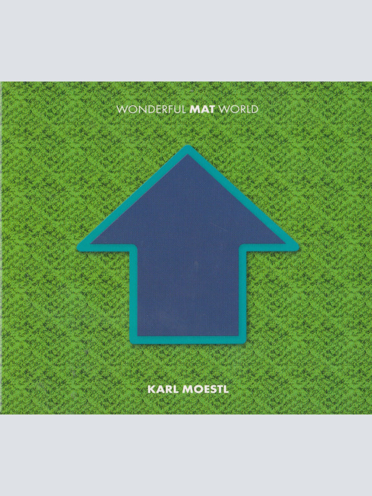 CD / Karl Moestl* - Wonderful Mat World
