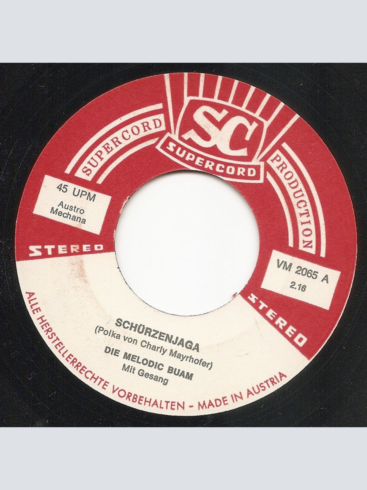 Vinyl / Die Melodic Buam - Schürzenjaga