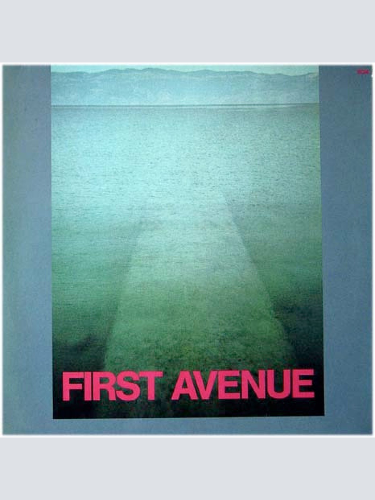 Vinyl / First Avenue (2) - First Avenue