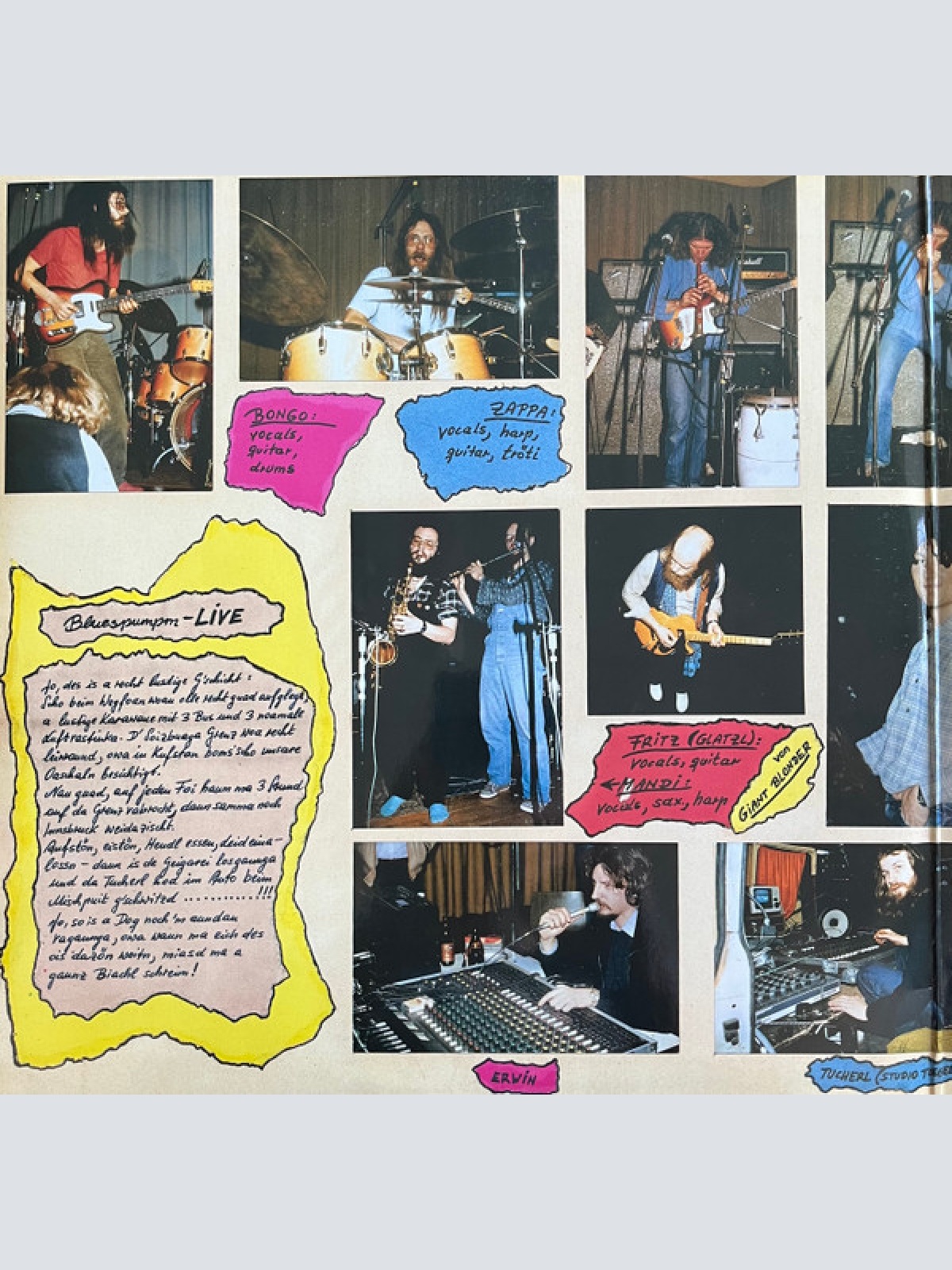 Vinyl / Bluespumpm - Live With Friends