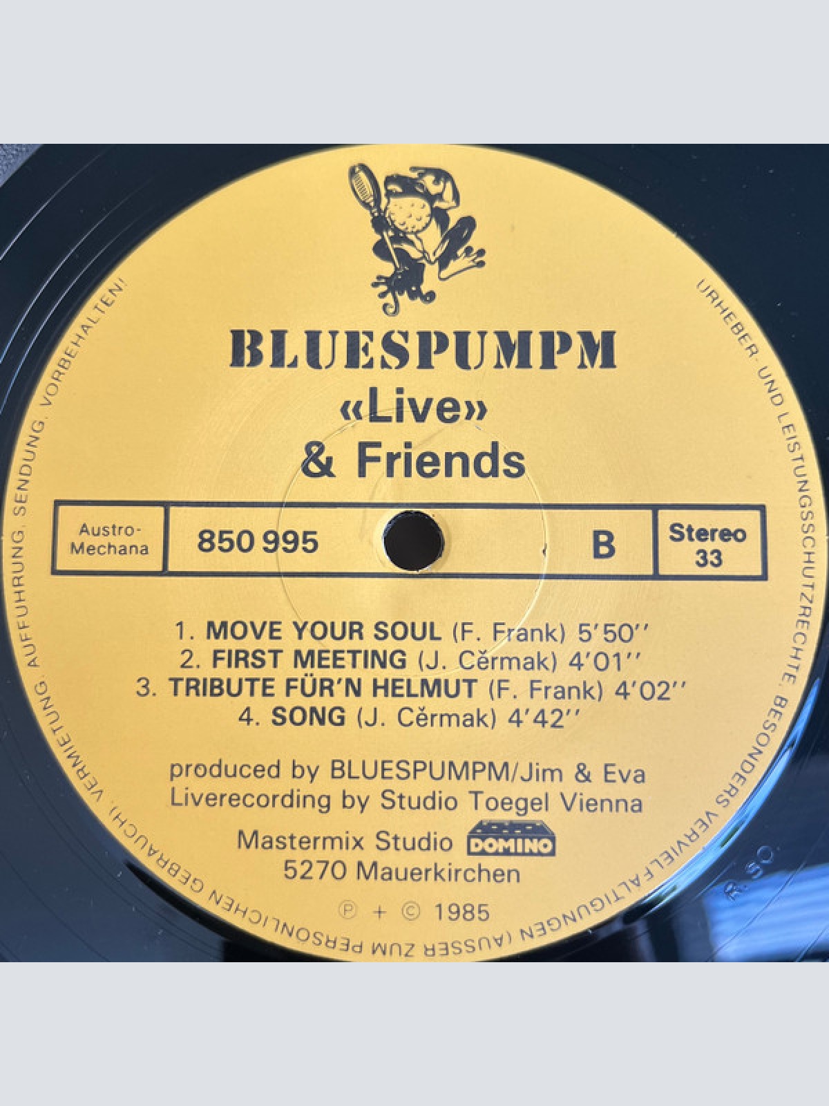 Vinyl / Bluespumpm - Live With Friends