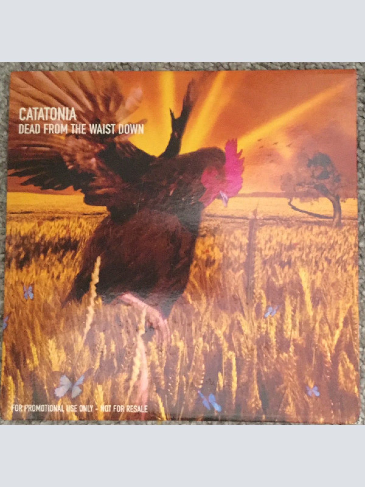 CD / Catatonia - Dead From The Waist Down