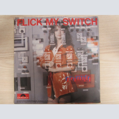 Vinyl / Kermitt - Flick My Switch