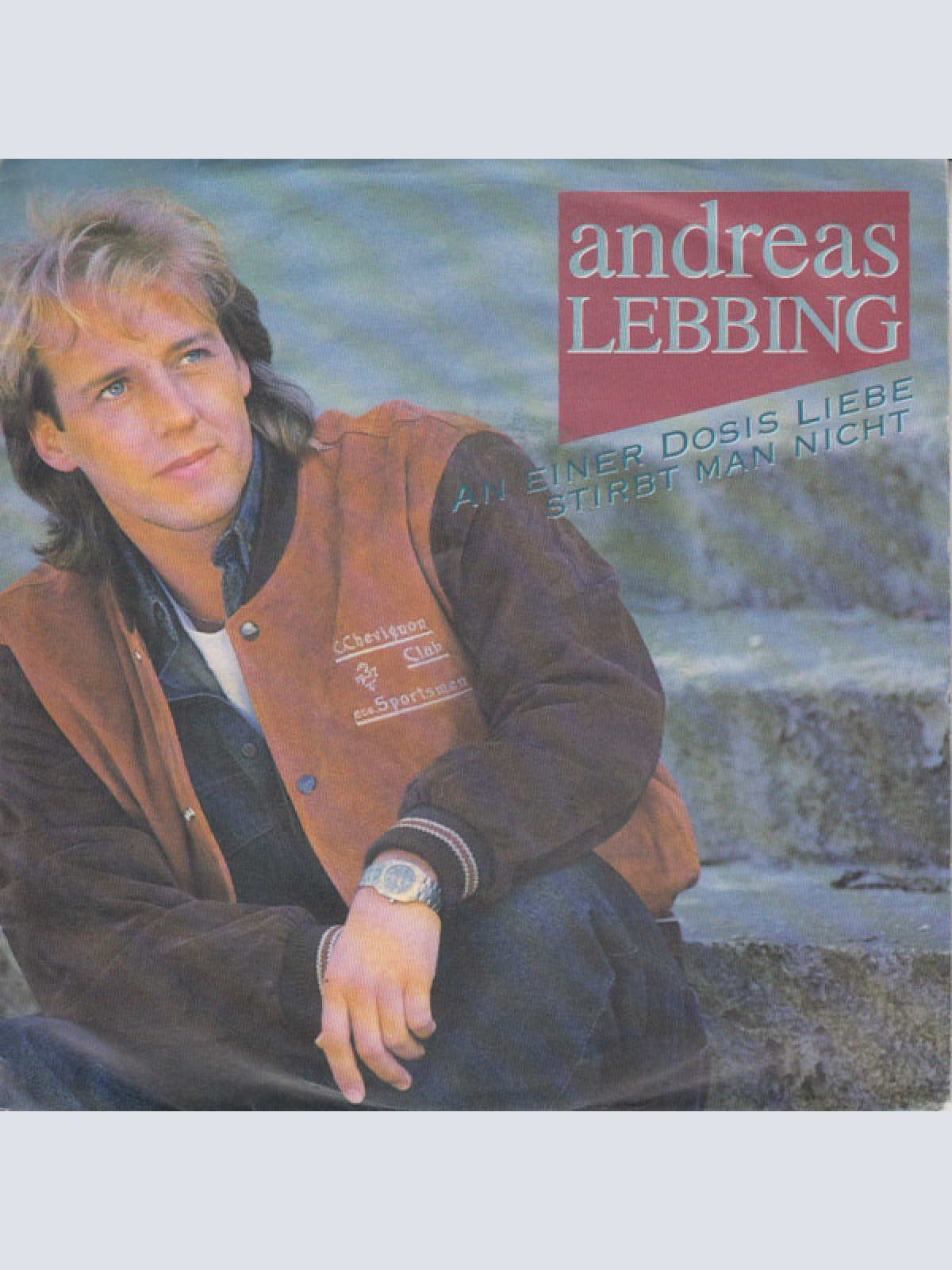 Vinyl / Andreas Lebbing - An Einer Dosis Liebe Stirbt Man Nicht