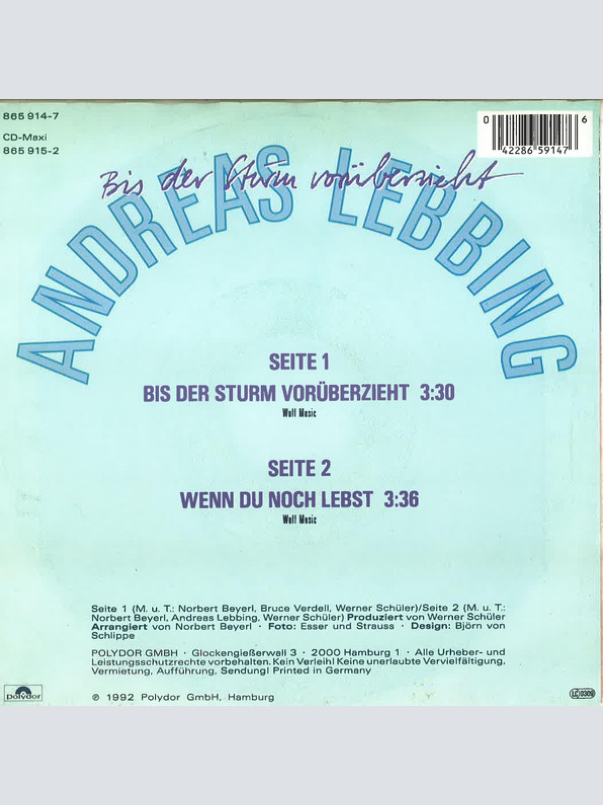Vinyl / Andreas Lebbing - Bis Der Sturm Vorüberzieht