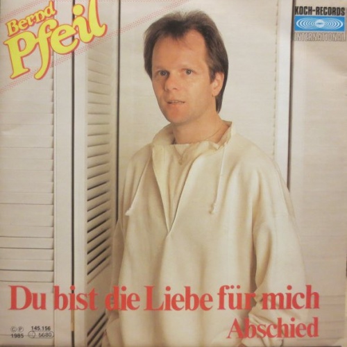 Vinyl / Bernd Pfeil - Du Bist Die Liebe Für Mich