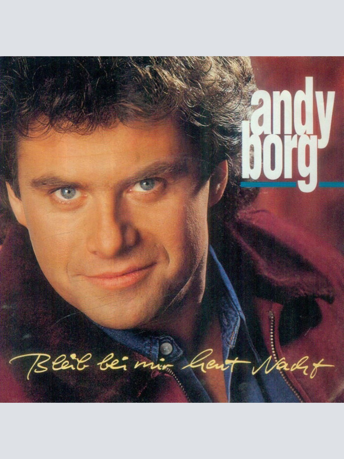 Vinyl / Andy Borg - Bleib Bei Mir Heut Nacht