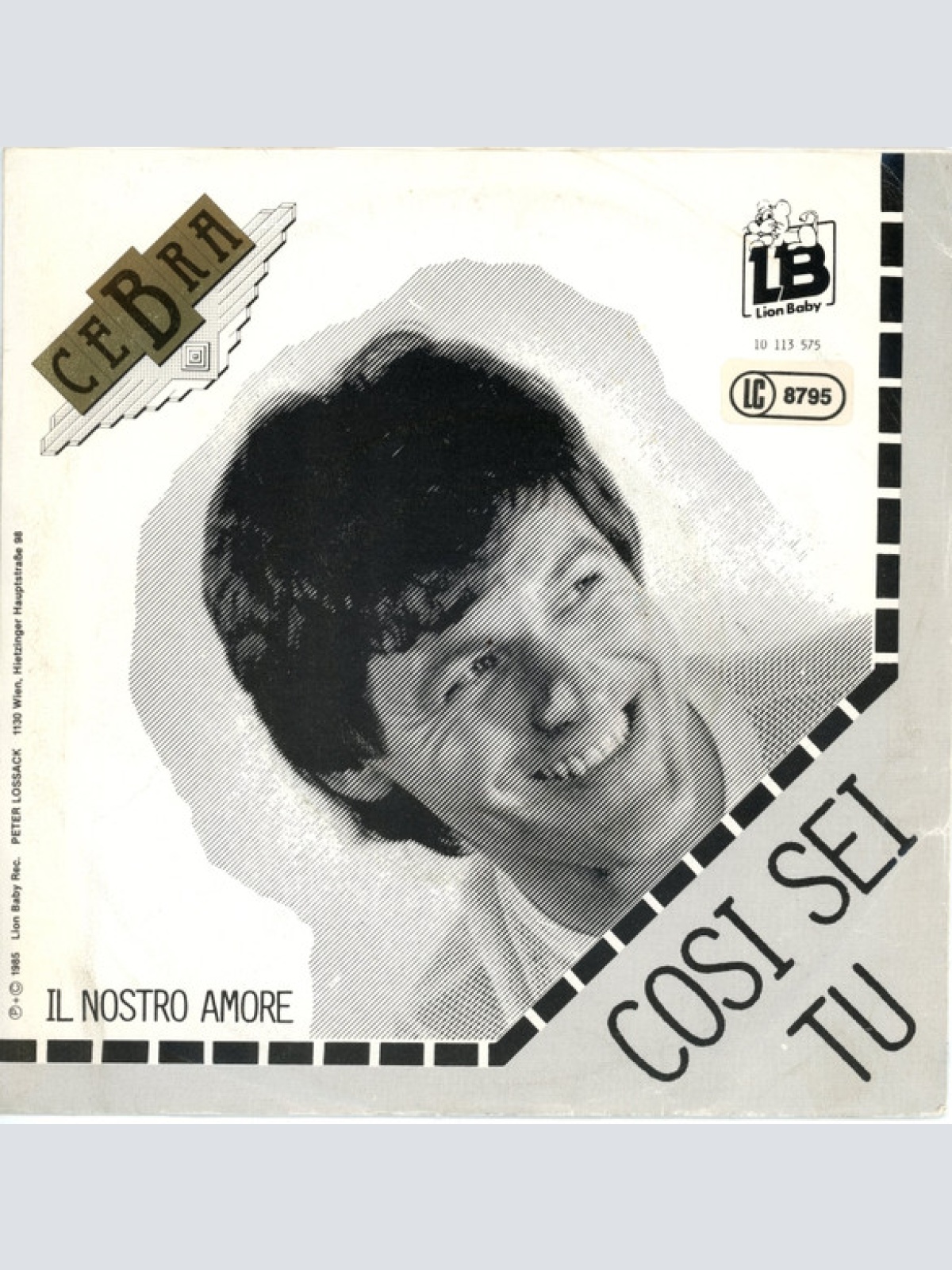 Vinyl / Cebra (5) - Il Nostro Amore