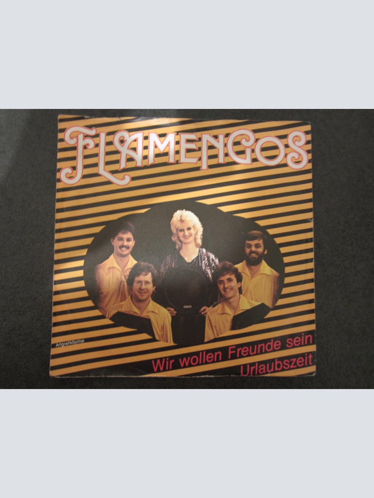 Vinyl / Flamengos - Wir Wollen Freunde Sein