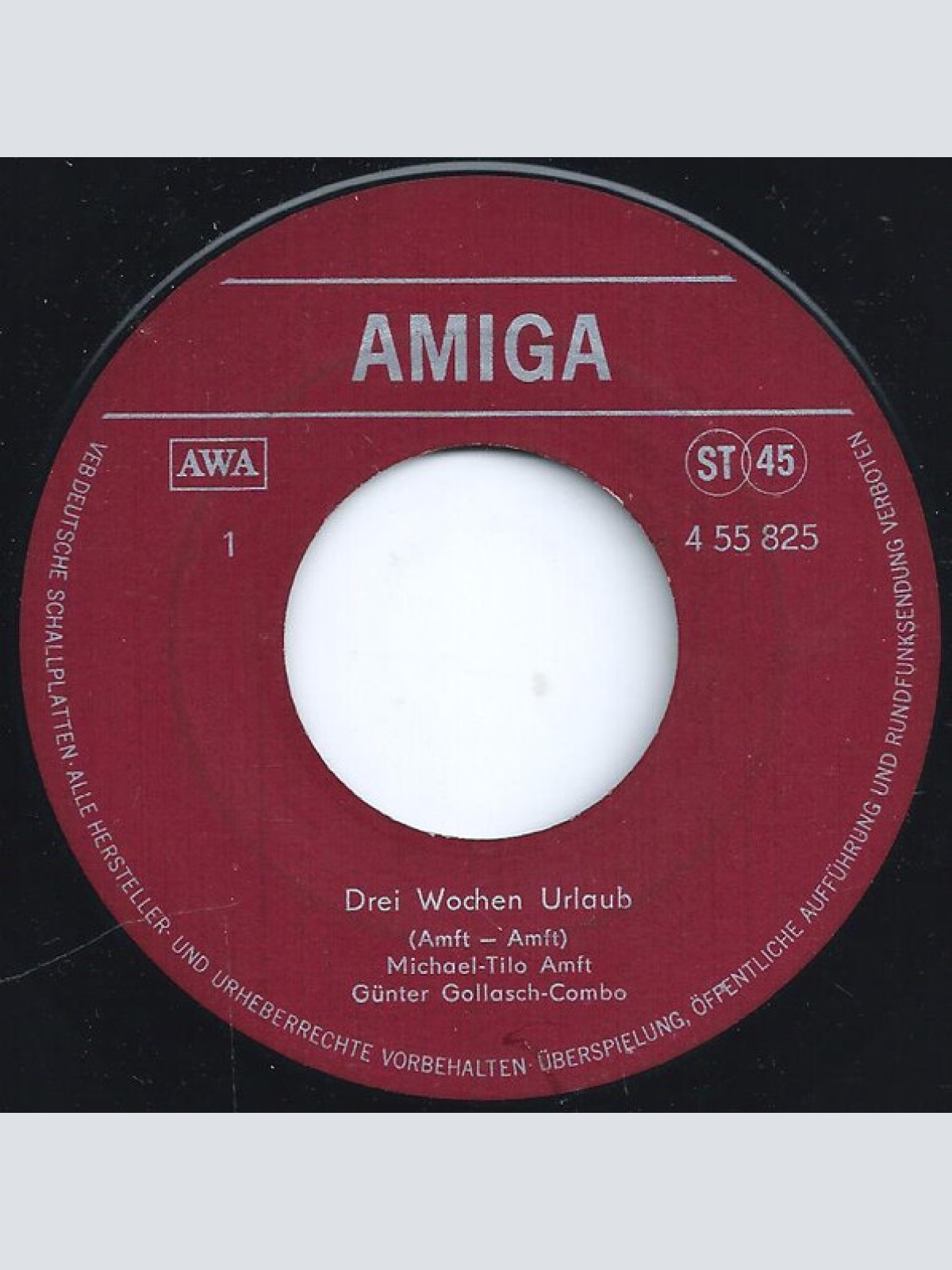 Vinyl / Michael-Tilo Amft - Drei Wochen Urlaub