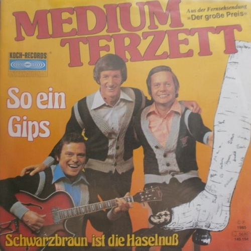 Vinyl / Medium Terzett - So Ein Gips