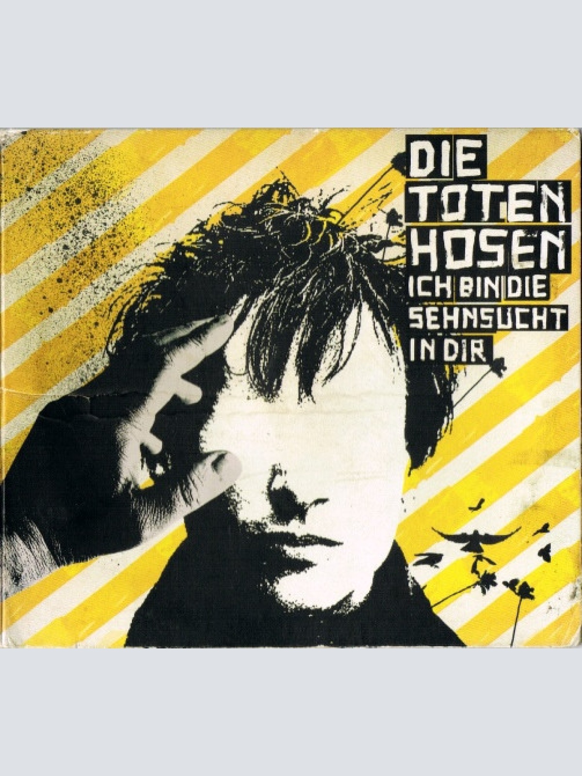 CD / Die Toten Hosen - Ich Bin Die Sehnsucht In Dir