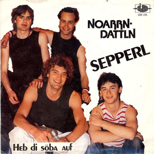 Vinyl / Noarrndattln - Sepperl