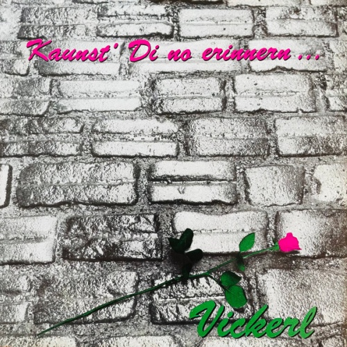 Vinyl / Vickerl* - Kannst' Di No Erinnern...