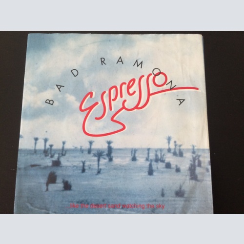 Vinyl / Espresso (2) - Bad Ramona