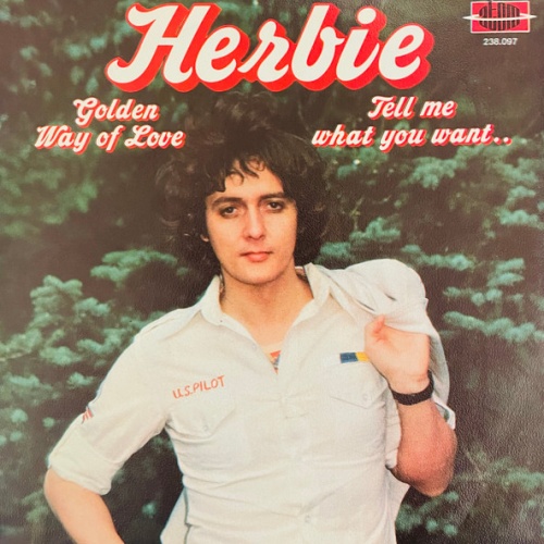 Vinyl / Herbie (19) - Golden Way Of Love / Tell Me What You Want