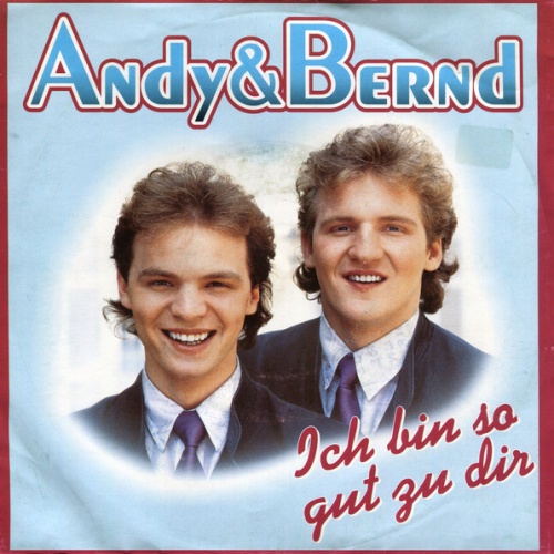 Vinyl / Andy & Bernd* - Ich Bin So Gut Zu Dir