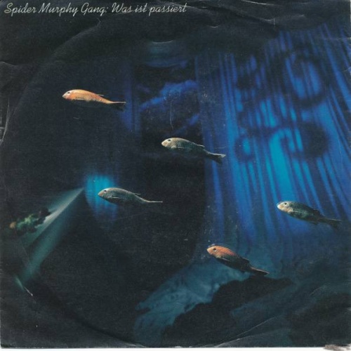 Vinyl / Spider Murphy Gang - Was Ist Passiert