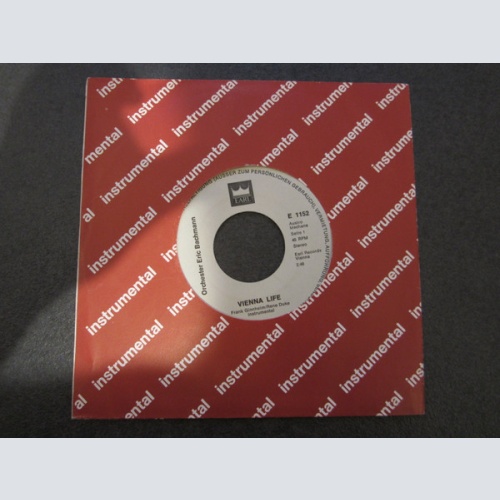 Vinyl / Orchester Eric Bachmann - Vienna Life
