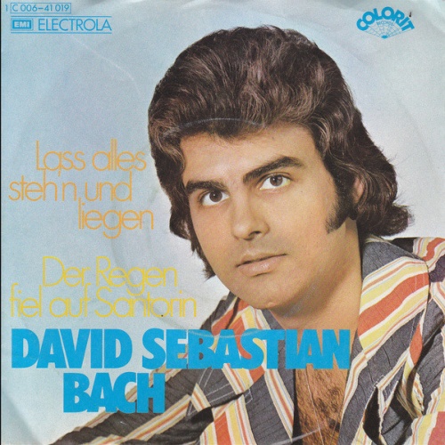 Vinyl / David Sebastian Bach - Lass Alles Steh'n Und Liegen