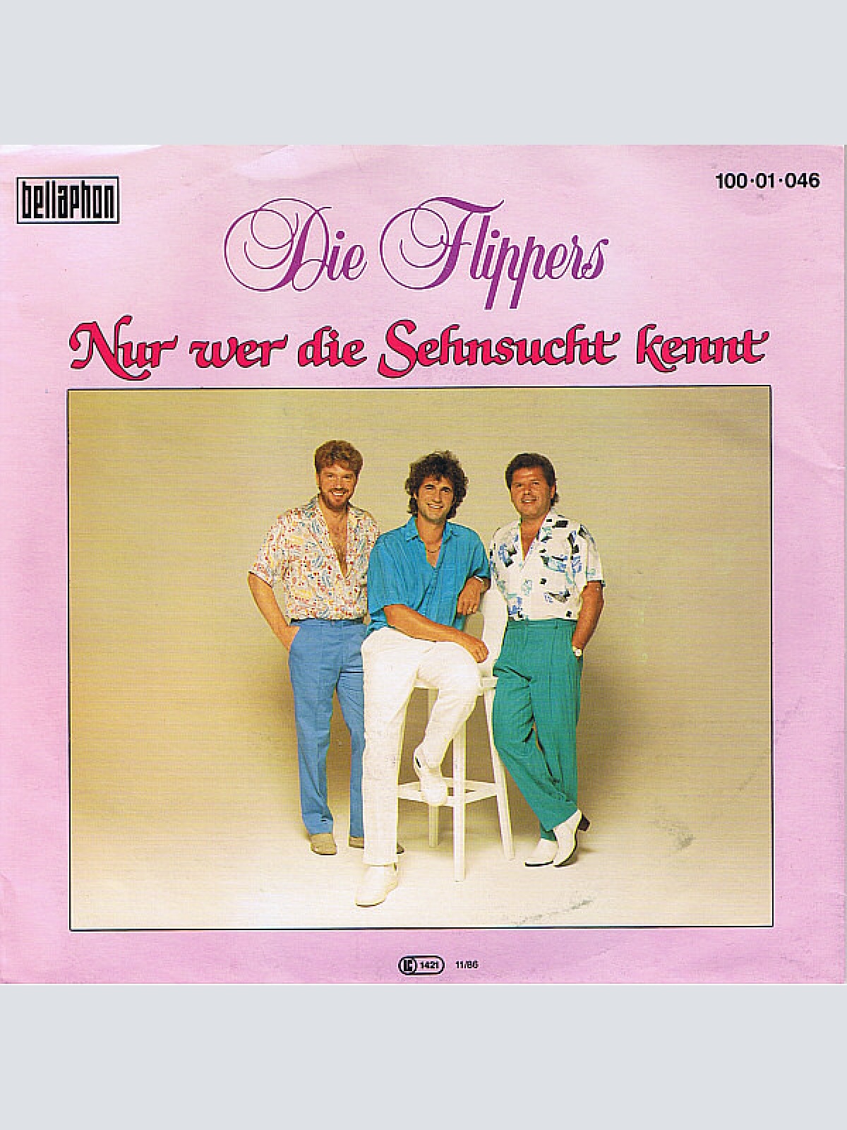 Vinyl / Die Flippers - Nur Wer Die Sehnsucht Kennt