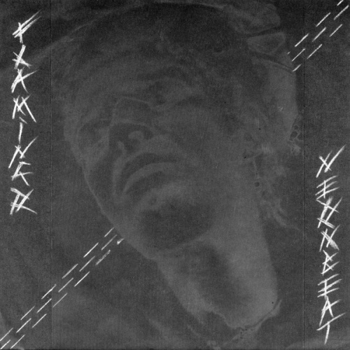 Vinyl / Flamingo (9) - Neonbeat