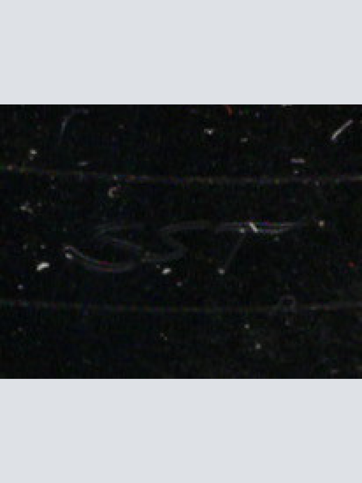 Vinyl / Hans Peter - Hey, Du Da