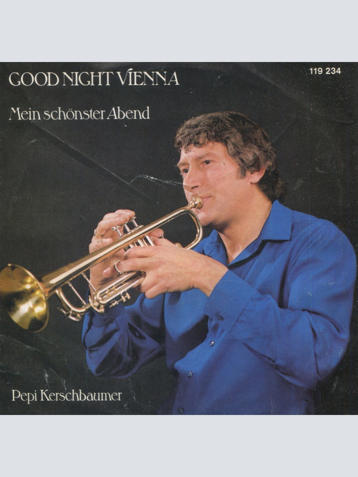 Vinyl / Pepi Kerschbaumer* - Good Night Vienna