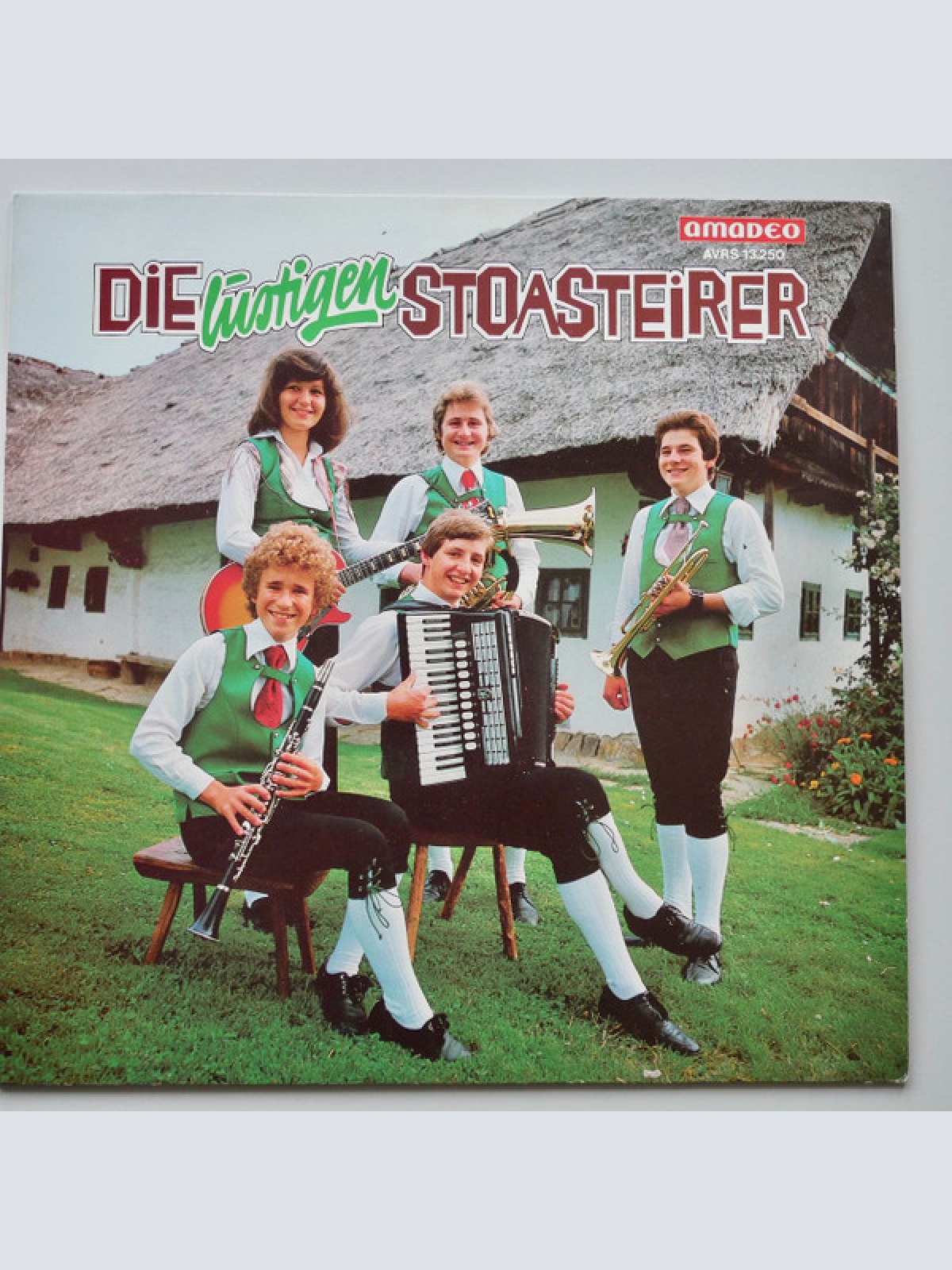 Vinyl / Die Lustigen Stoasteirer - Die Lustigen Stoasteirer