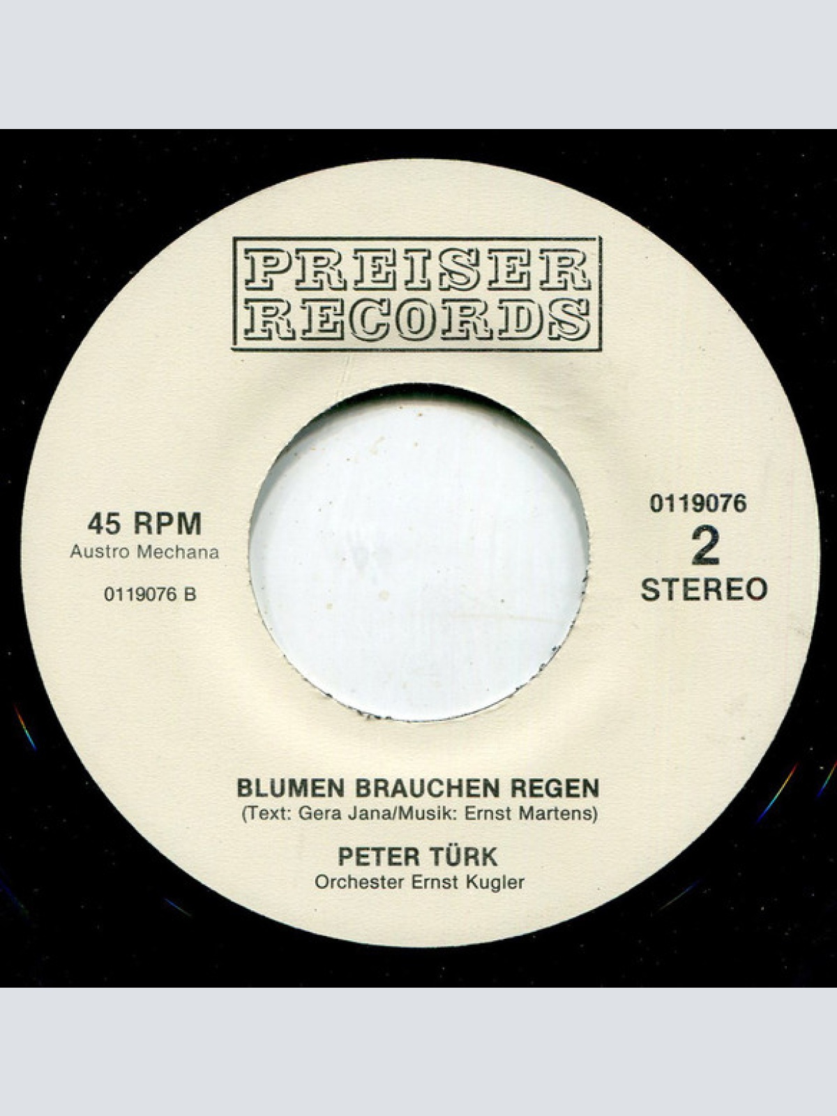 Vinyl / Peter Türk - Brillenlied / Blumen Brauchen Regen