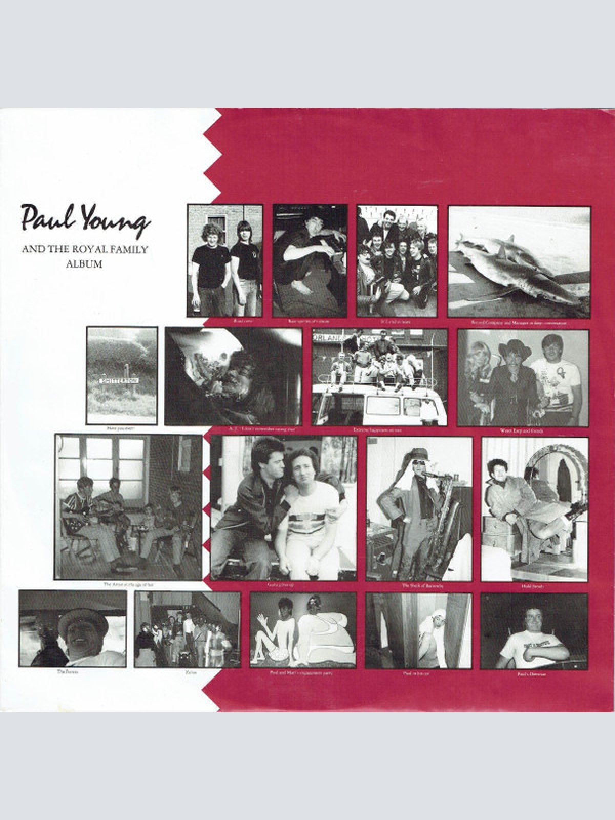Vinyl / Paul Young - No Parlez