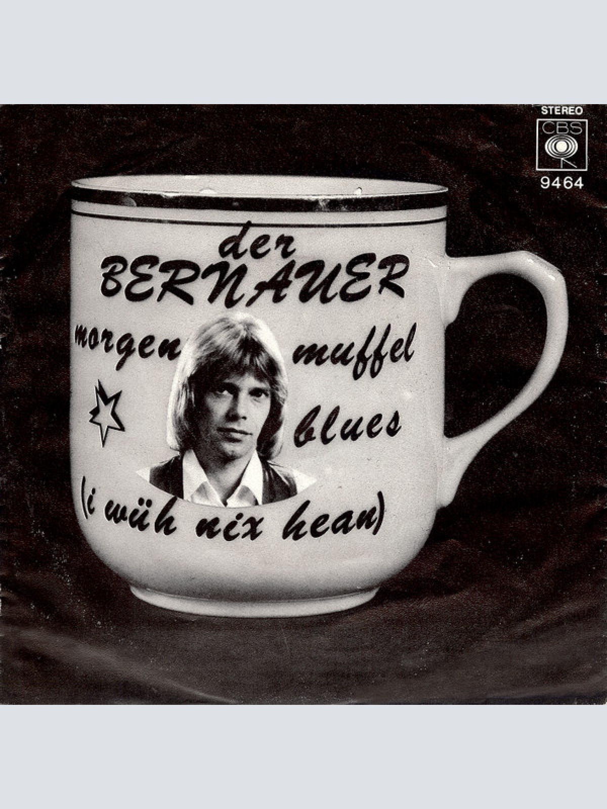 Vinyl / Der Bernauer* - Morgenmuffel Blues (I Wüh Nix Hean)