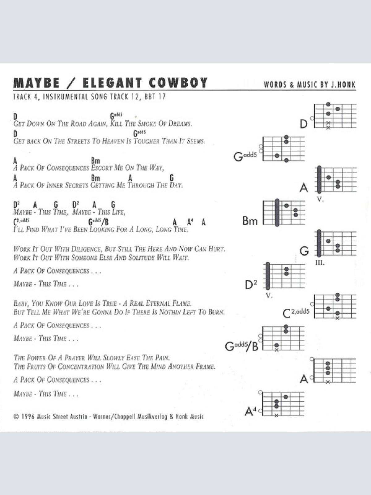 CD / The Honk Rock Project - Live At The Garage