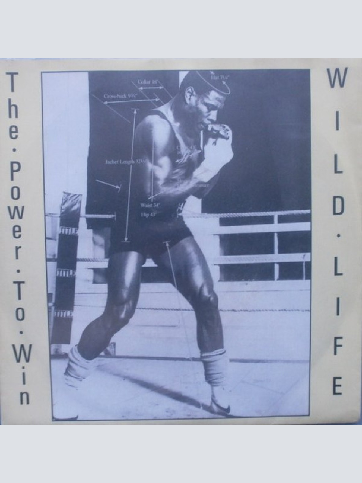 Vinyl / Wild Life (5) - The Power To Win