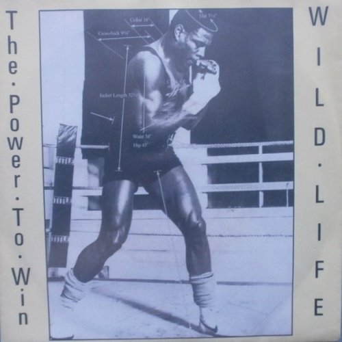 Vinyl / Wild Life (5) - The Power To Win