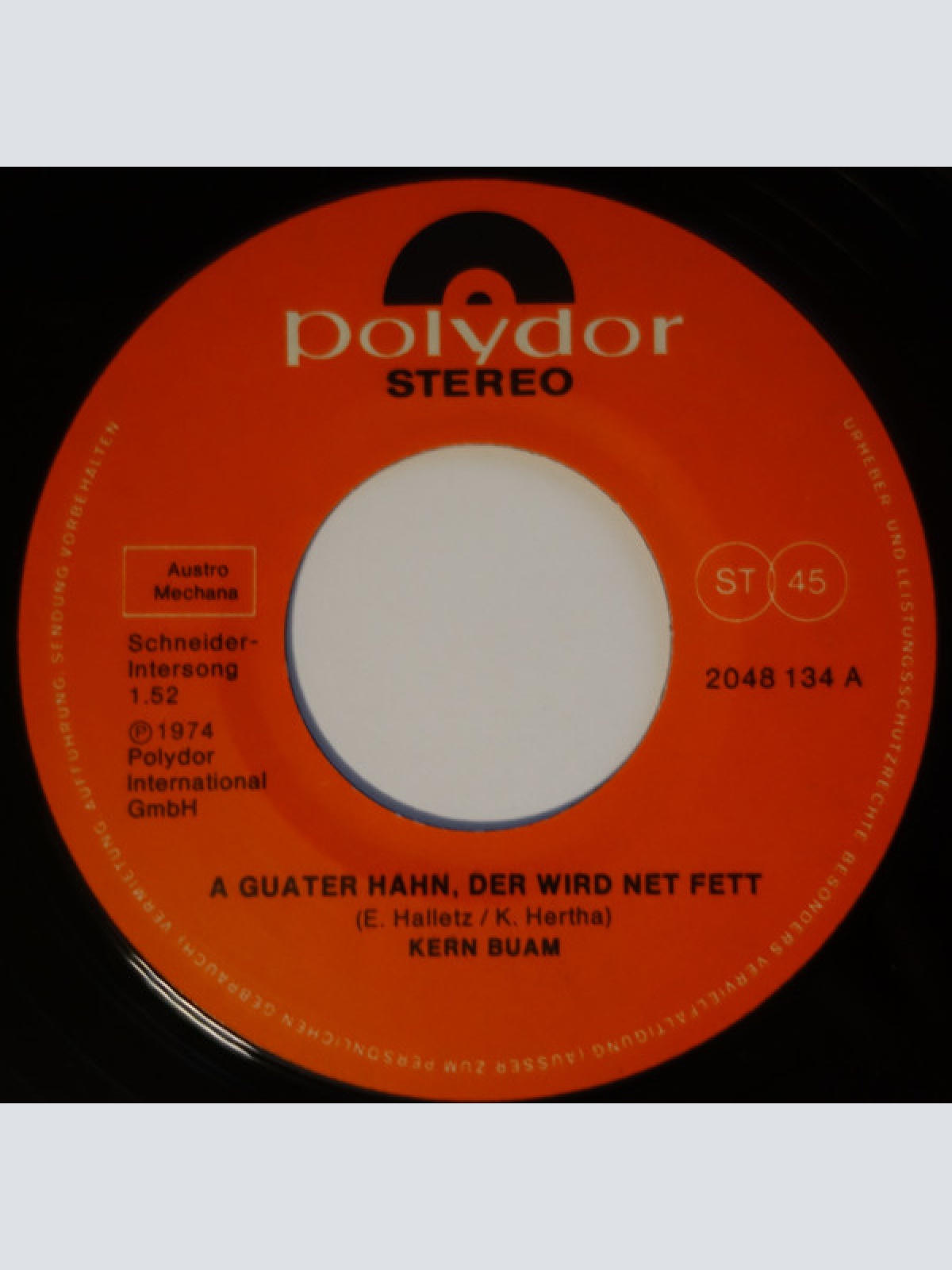 Vinyl / Die Kern Buam - A Guater Hann, Der Wird Net Fett