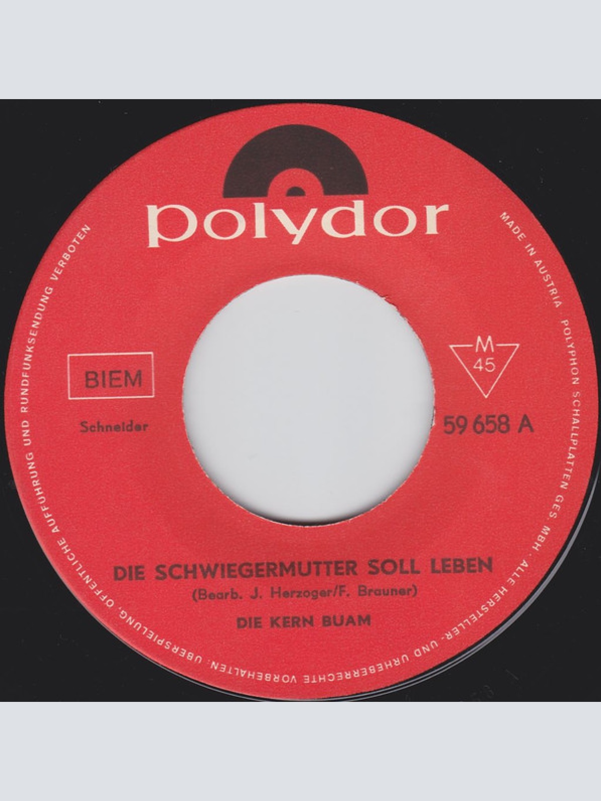 Vinyl / Die Original Kernbuam* - Die Schwiegermutter Soll Leben (Unterm Wasser)