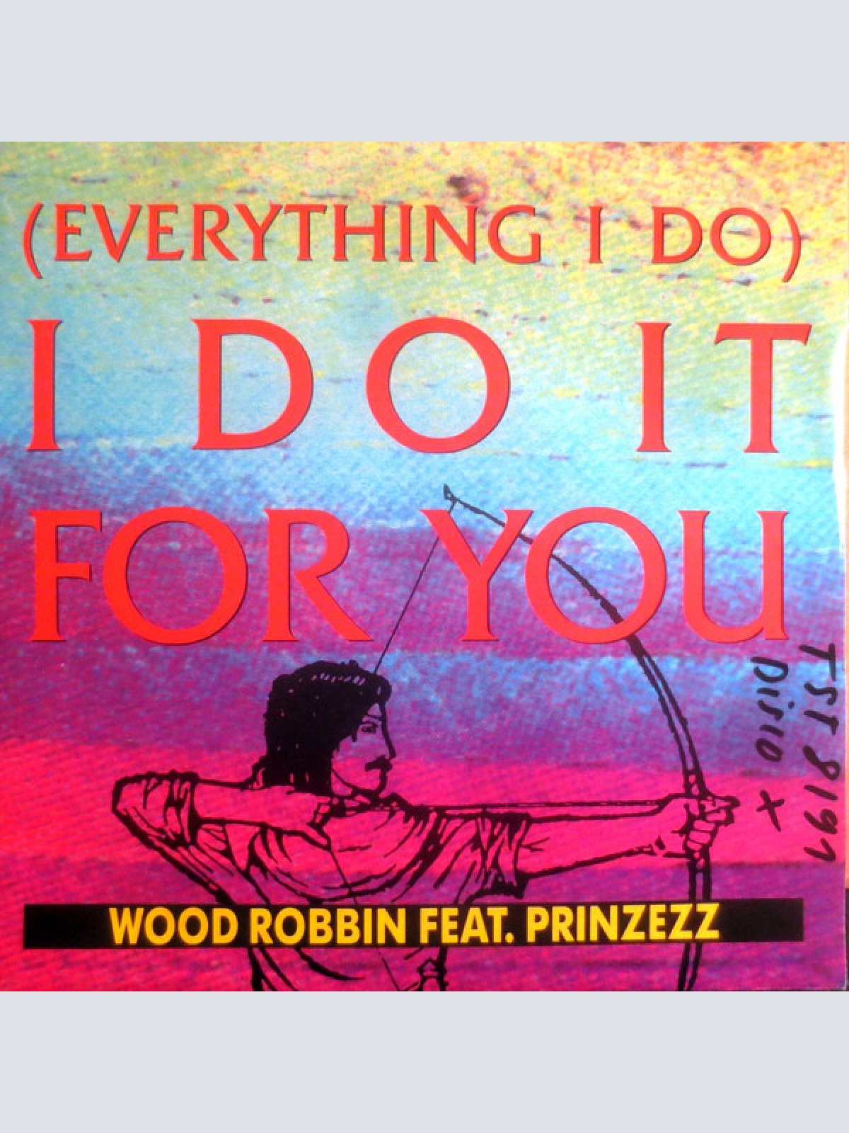 Vinyl / Wood Robbin Feat. Prinzezz - (Everything I Do) I Do It For You