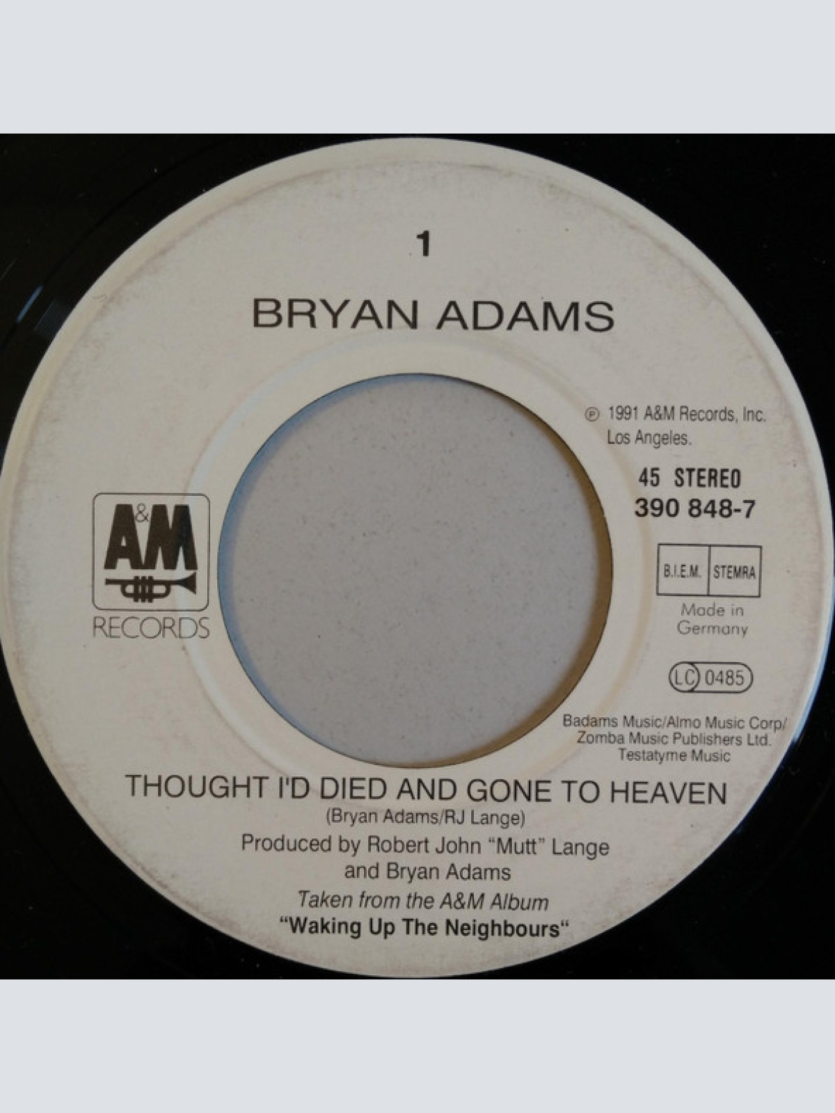 Vinyl / Bryan Adams - Thought I'd Died And Gone To Heaven