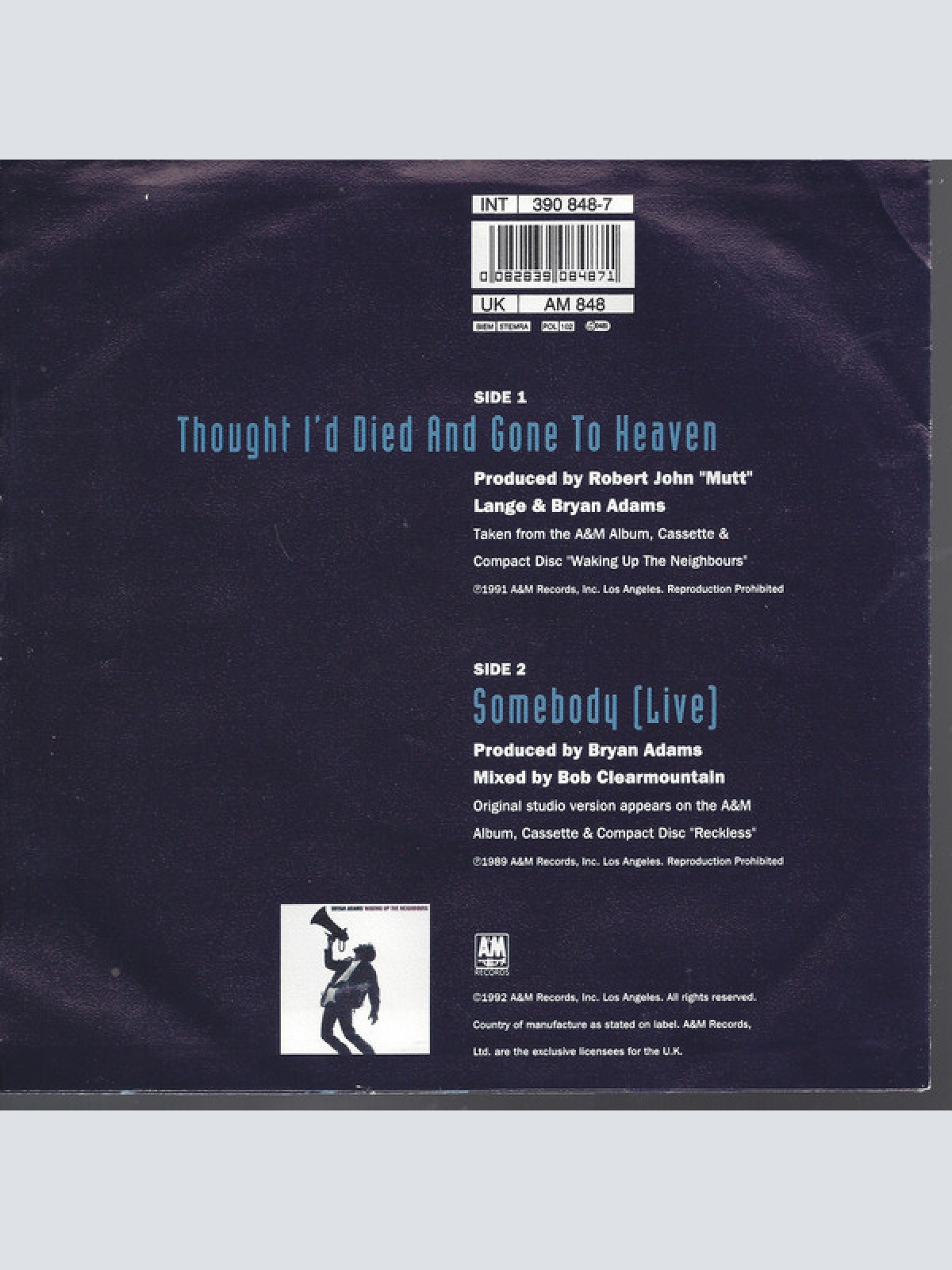 Vinyl / Bryan Adams - Thought I'd Died And Gone To Heaven