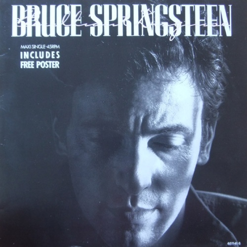 Vinyl / Bruce Springsteen - Brilliant Disguise
