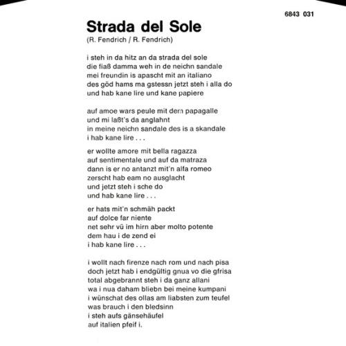 Vinyl / Rainhard Fendrich - Strada Del Sole