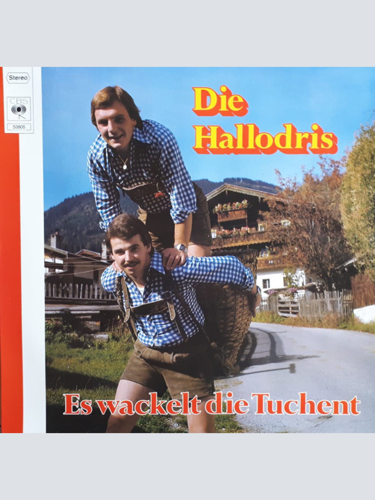 Vinyl / Die Hallodris - Es Wackelt Die Tuchent