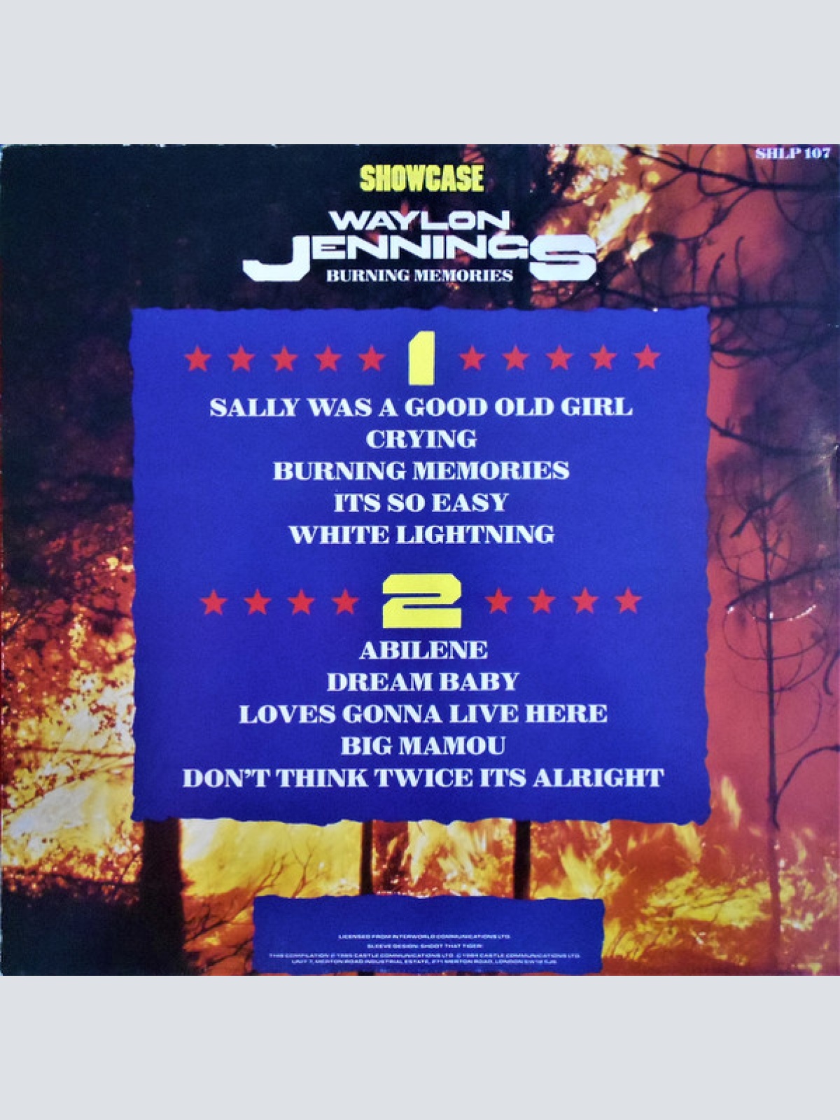 Vinyl / Waylon Jennings - Burning Memories