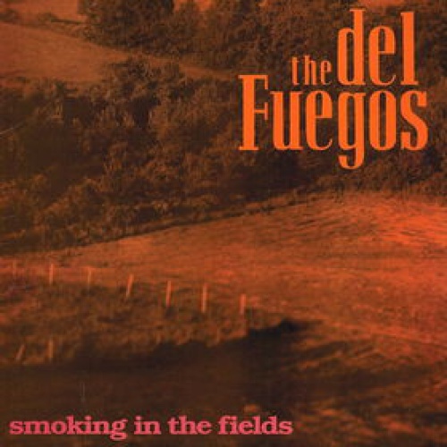 Vinyl / The Del Fuegos - Smoking In The Fields