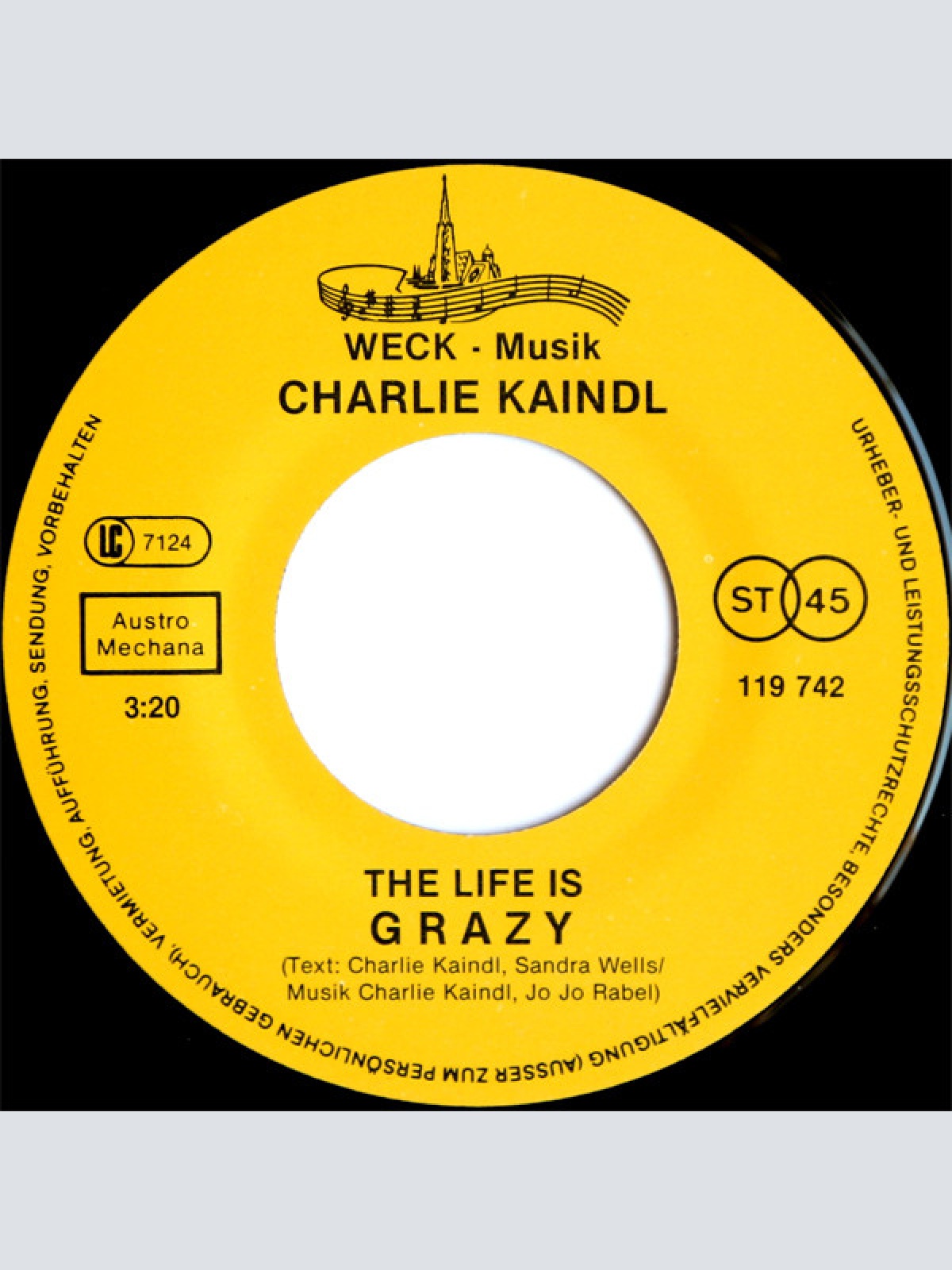 Vinyl / Charlie Kaindl* - Des Leben Is A Wahnsinn