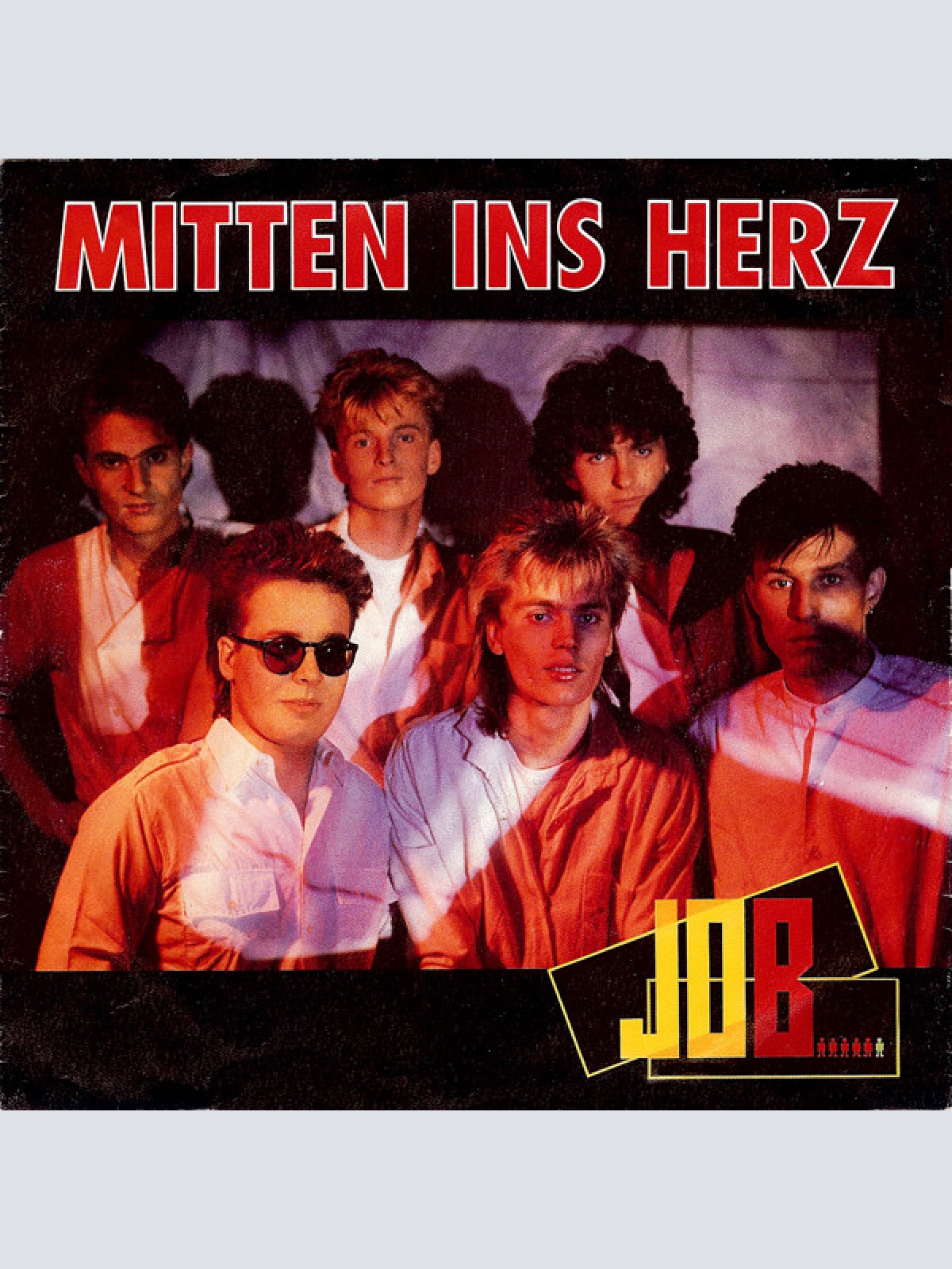 Vinyl / Job (12) - Mitten Ins Herz